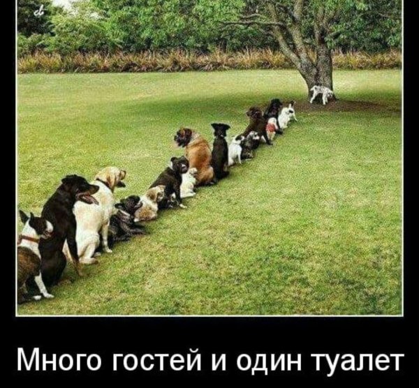 фишки демотиваторы