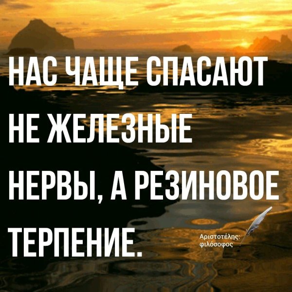 мудрая цитата