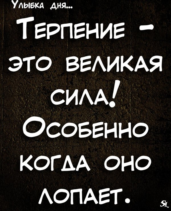 веселые высказывания