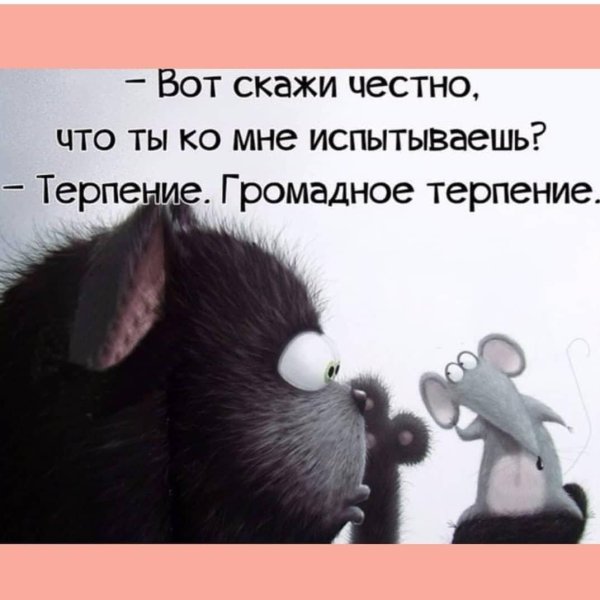 главное терпение