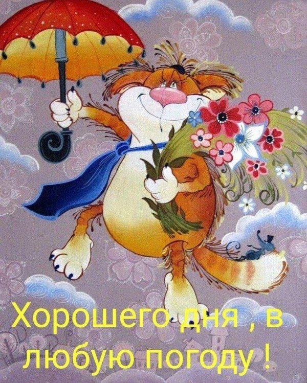 Добрый вечер необычные