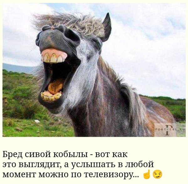 смеющийся конь