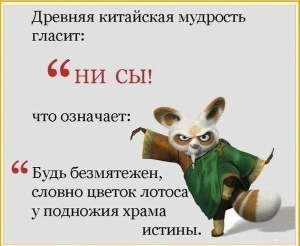 кунг фу панда шифу