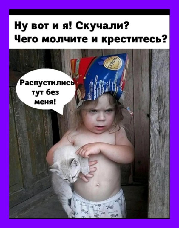 смешная открытка