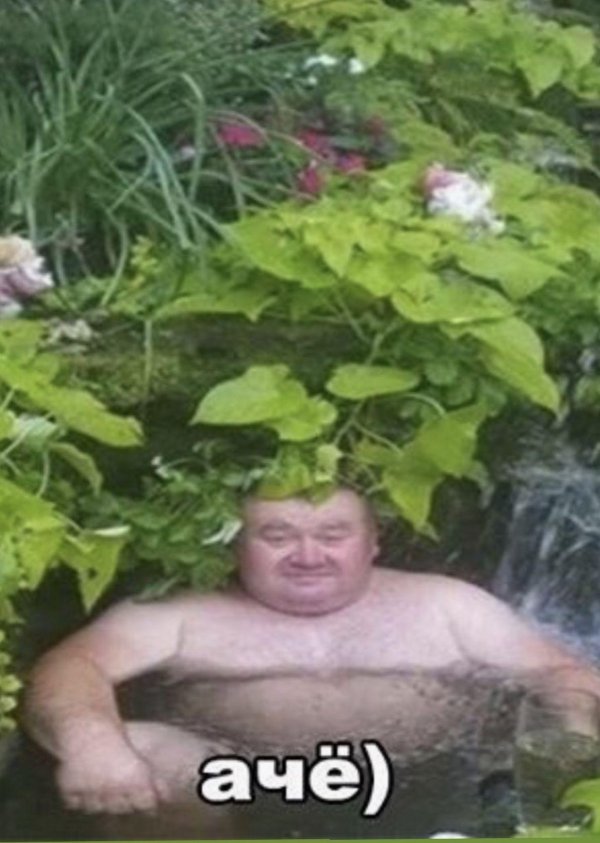 толстый мужик в болоте