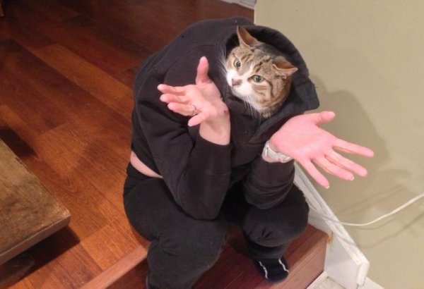 трендовые мемы