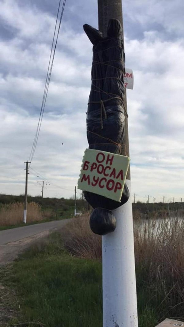 столб прикол