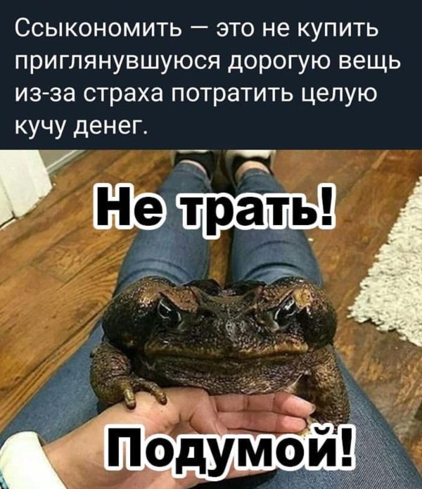 жаба ага