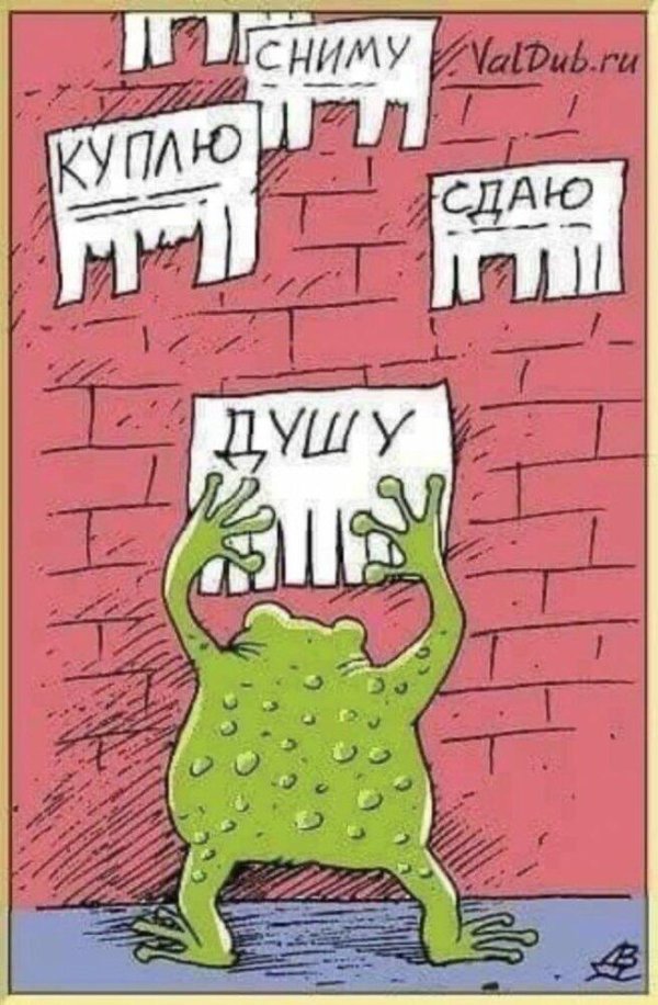 анекдоты карикатуры