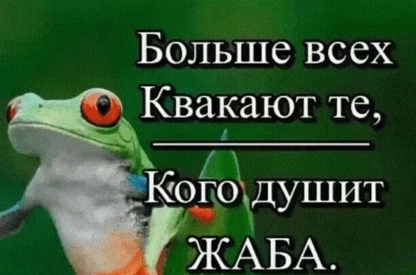 жаба зависть