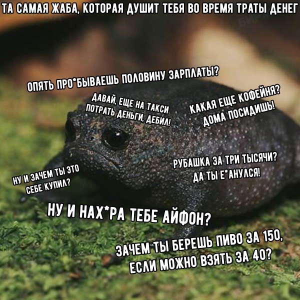 черная жаба