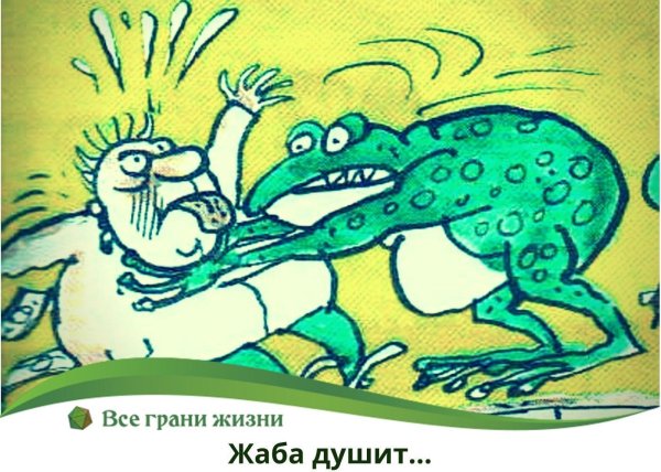 открытки с лягушками прикольные