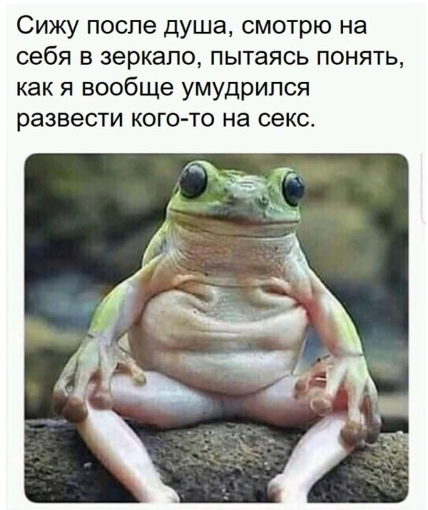 юмор смешной