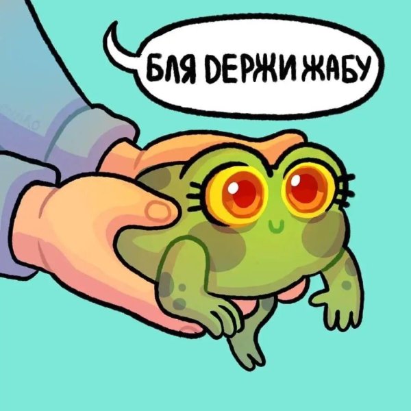 держи жабу