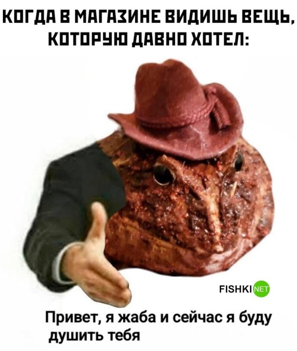 жаба в шляпе