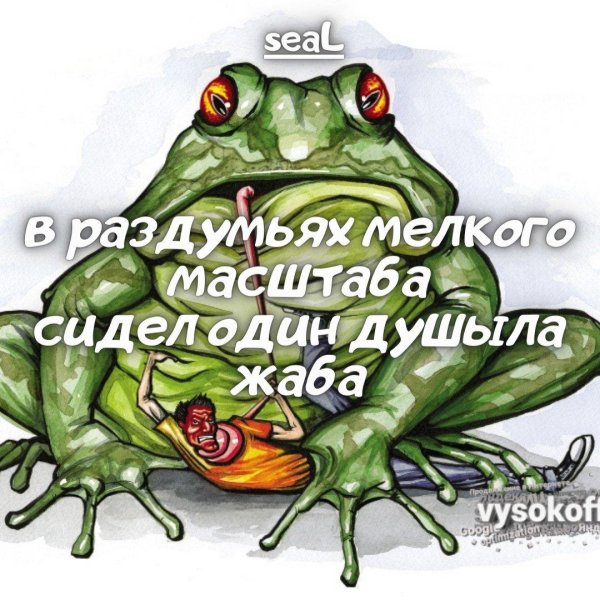 лягушки геншин