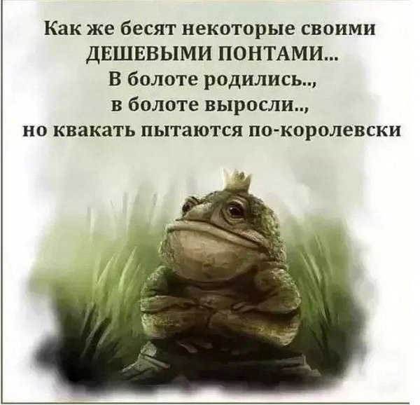 жабий король