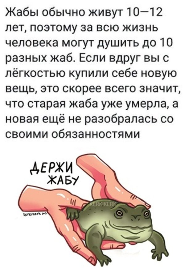держи жабу