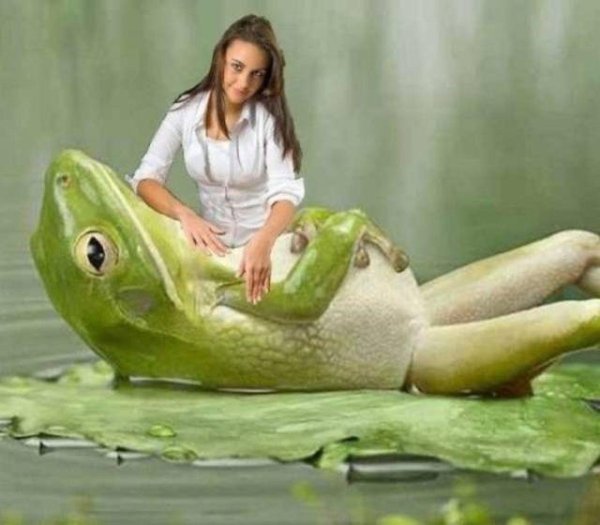 лягушка живая