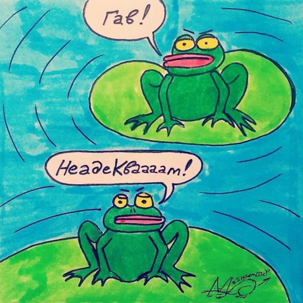 эскиз лягушки