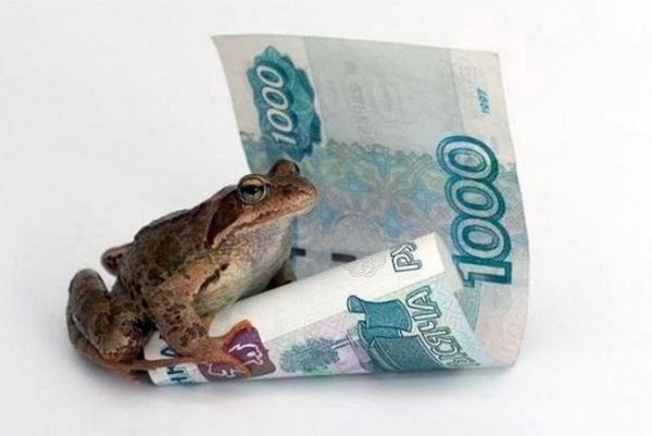 жаба денежная