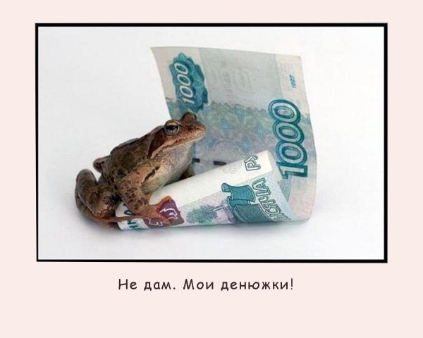 жаба денежная