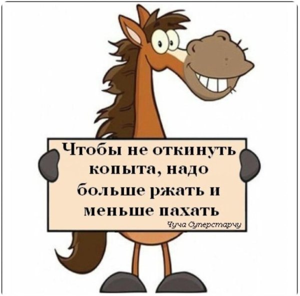 от работы кони дохнут