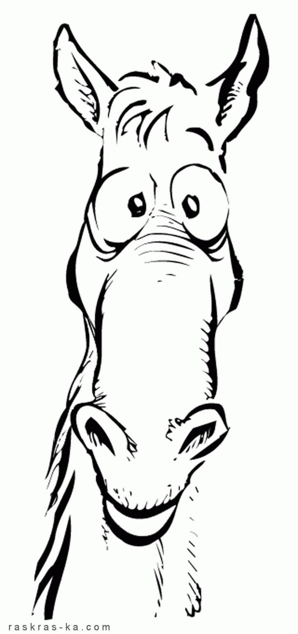 голова лошади раскраска