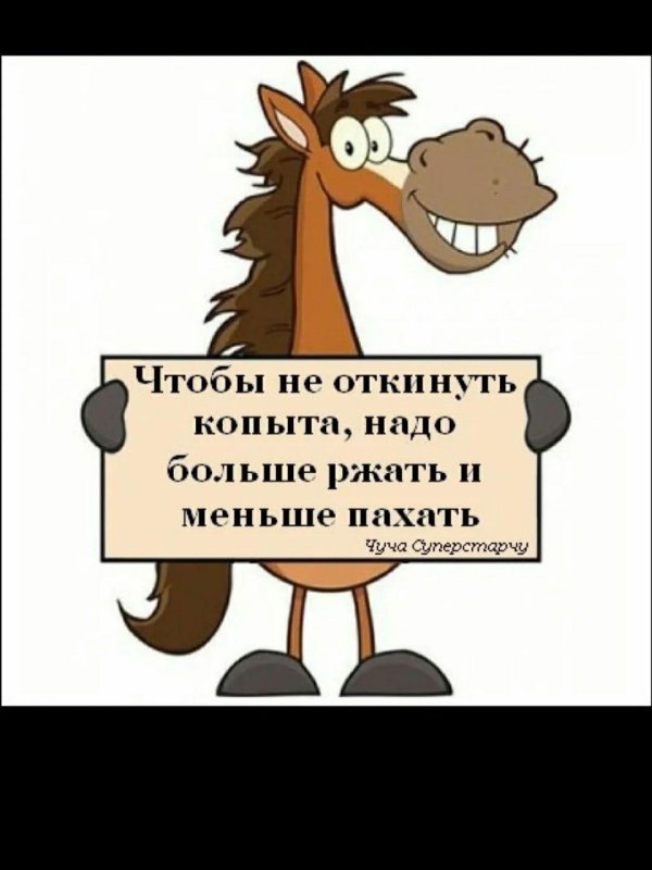 от работы кони