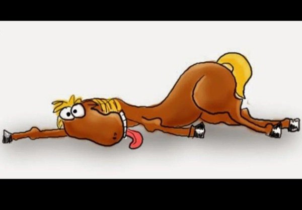 от работы кони дохнут