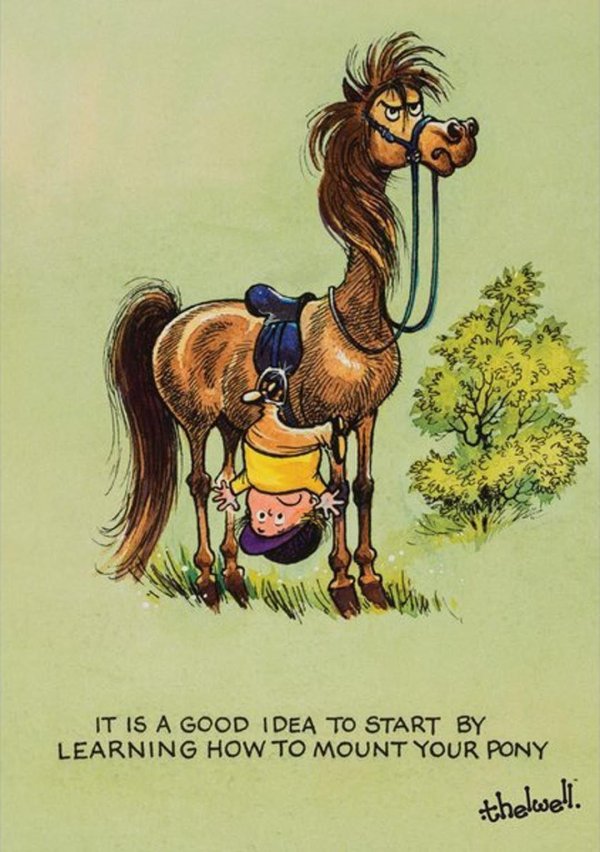 шарж на лошади