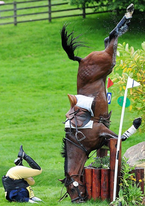 конный спорт троеборье