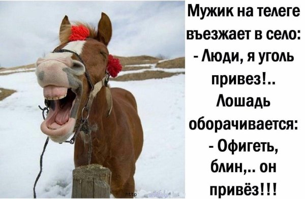 ржущий конь