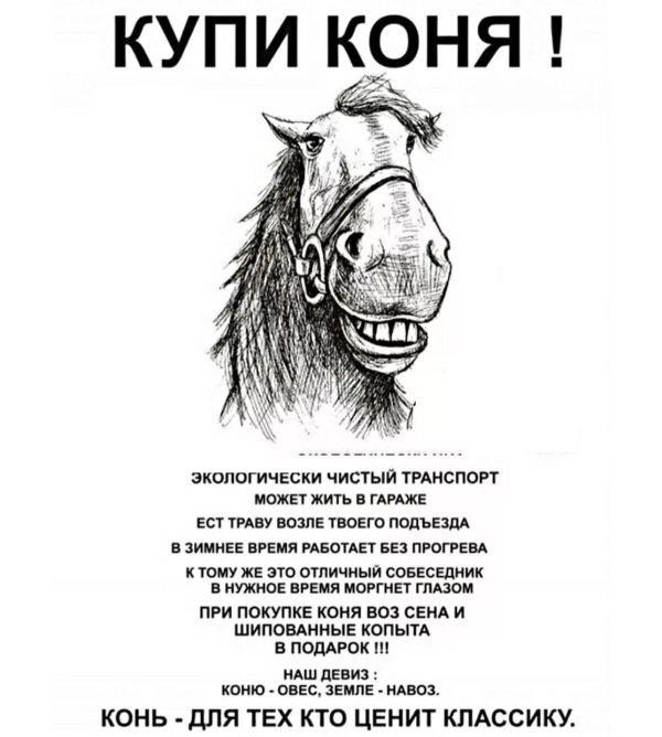 купи коня