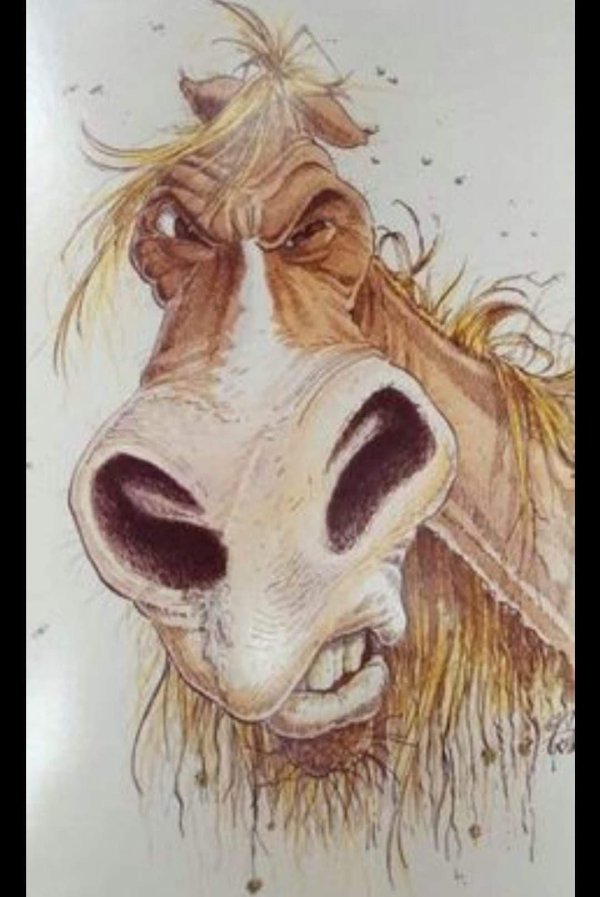 коняга салтыков щедрин иллюстрации