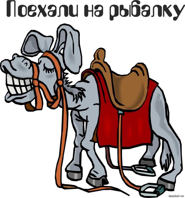 рисунки лошадки