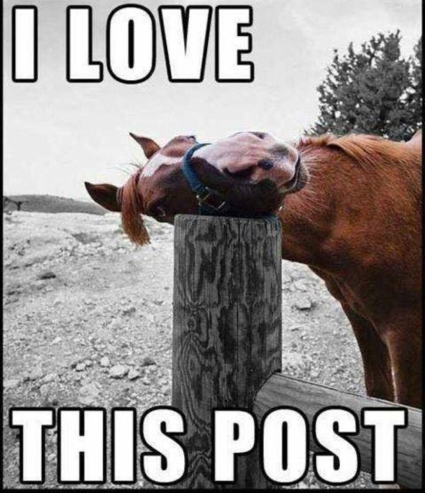 прикольный конь