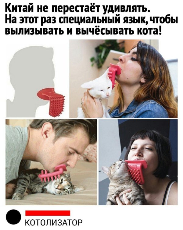 Язык показывает