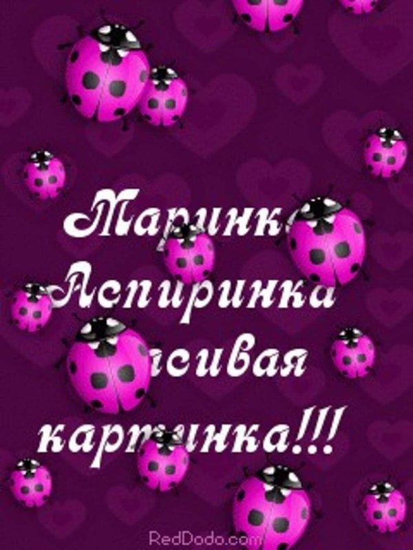 божие коровки