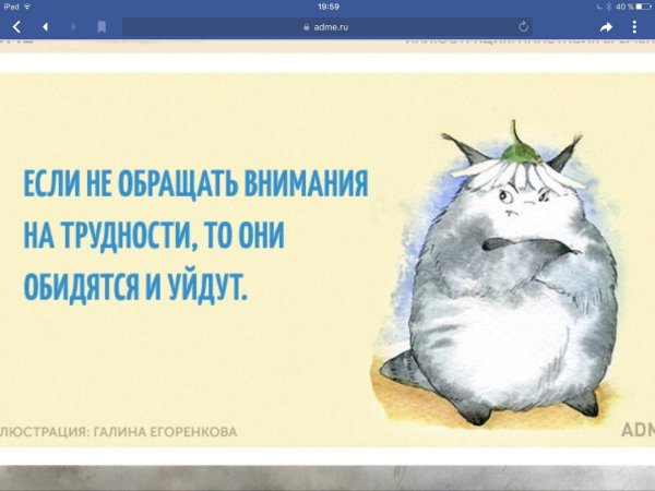 Совет дня