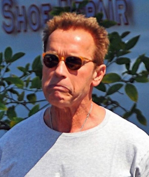 arnold schwarzenegger look a like