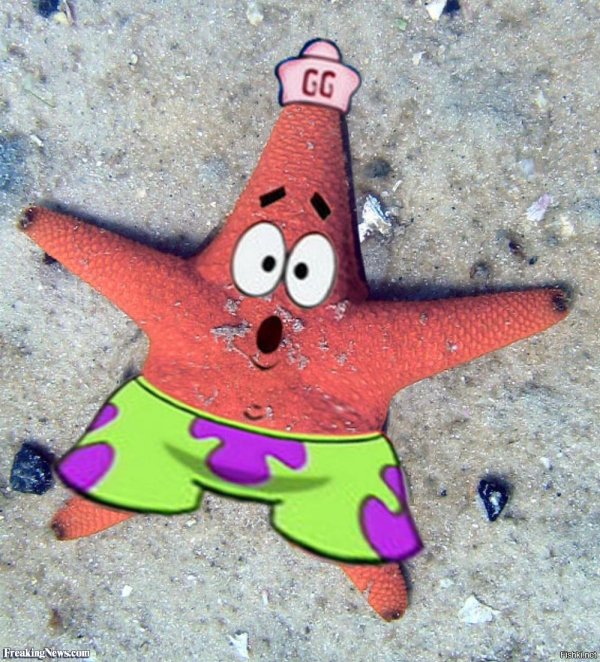 спанч боб патрик