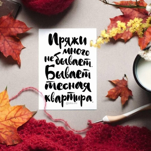 высказывания о вязании