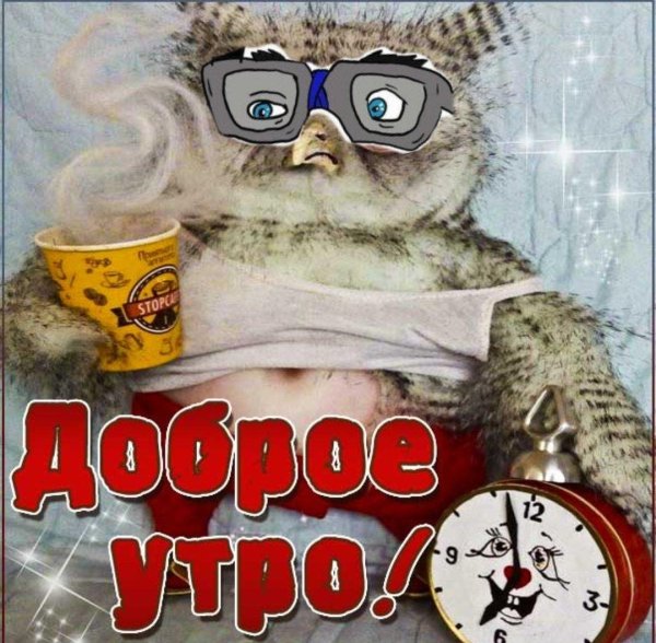 открытки с добрым утром прикольные новые смешные