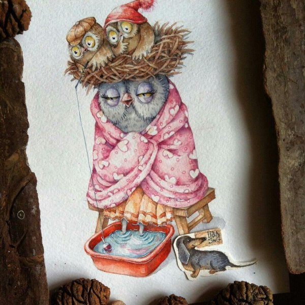 совушки милашки