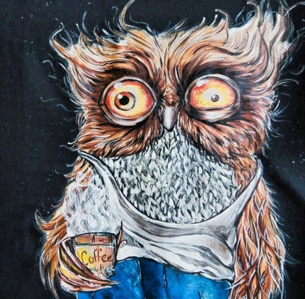 невыспавшаяся сова