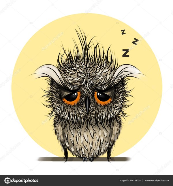 растрепанная сова