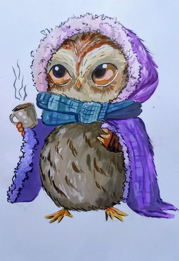милый совенок рисунок