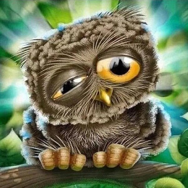 смешной совенок