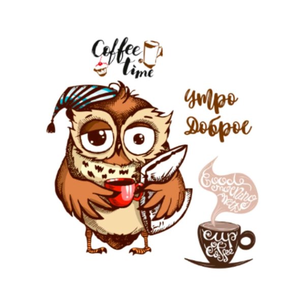 сова пьет кофе